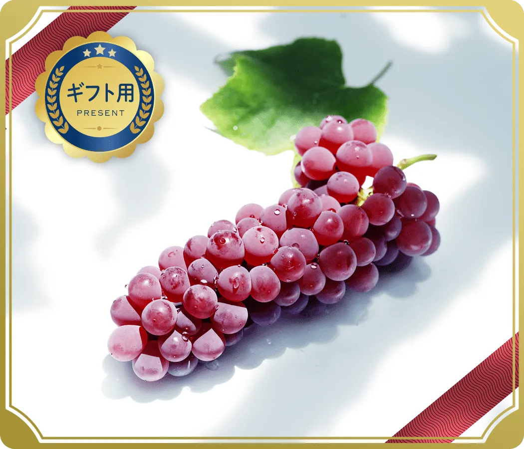 【ギフト用】デラウェア