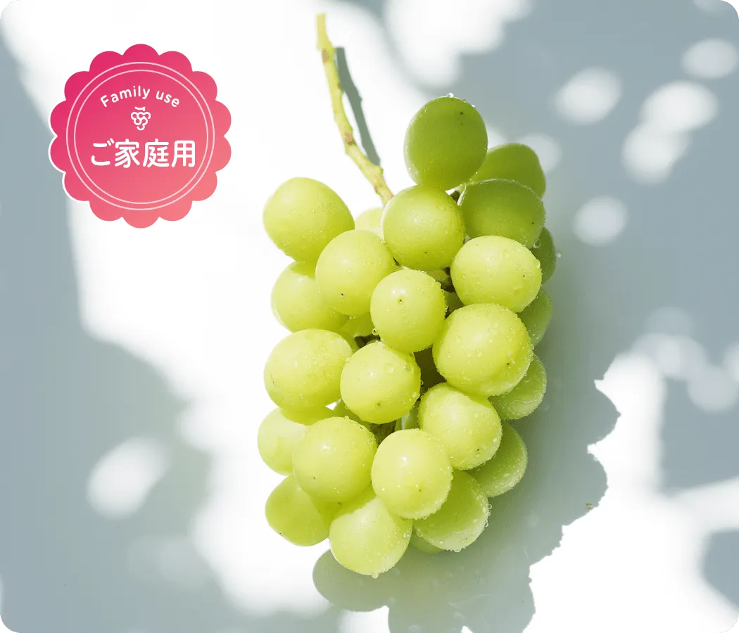 【ご家庭用】シャインマスカット