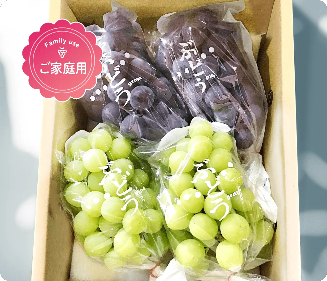 【ご家庭用】ぶどう2色詰め合わせ