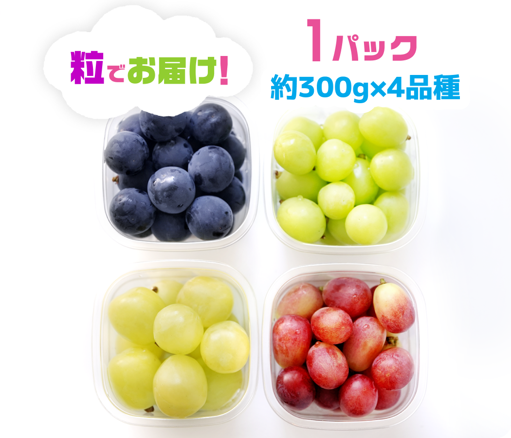 ぶどう4種 粒食べ比べセット