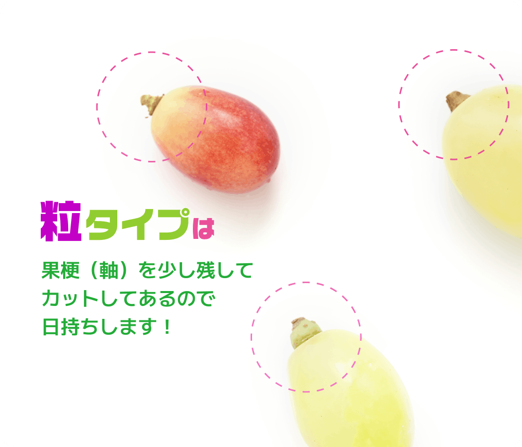 ぶどう4種 粒食べ比べセット
