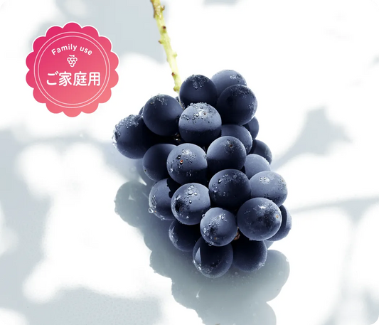【ご家庭用】巨峰