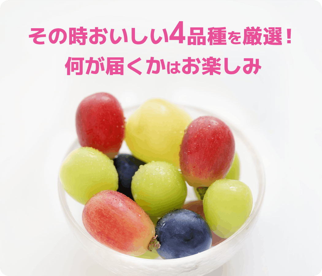 ぶどう4種 粒食べ比べセット