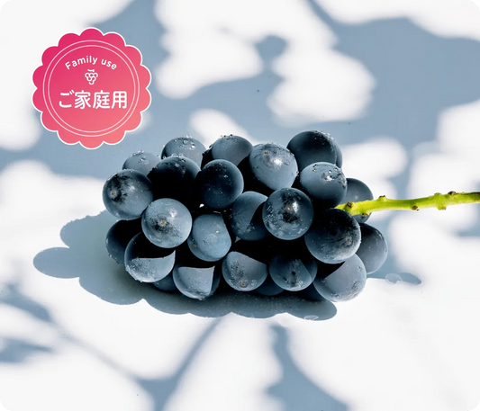 【ご家庭用】ピオーネ