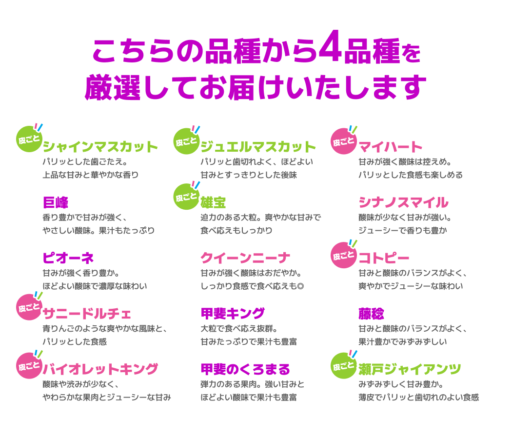 ぶどう4種 粒食べ比べセット