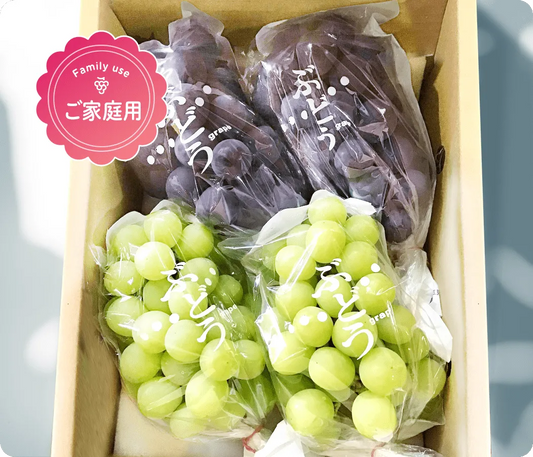 【ご家庭用】ぶどう２色詰め合わせ