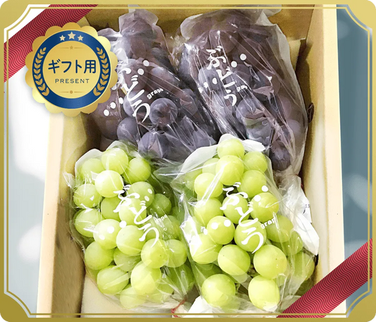 【ギフト用】ぶどう２色詰め合わせ