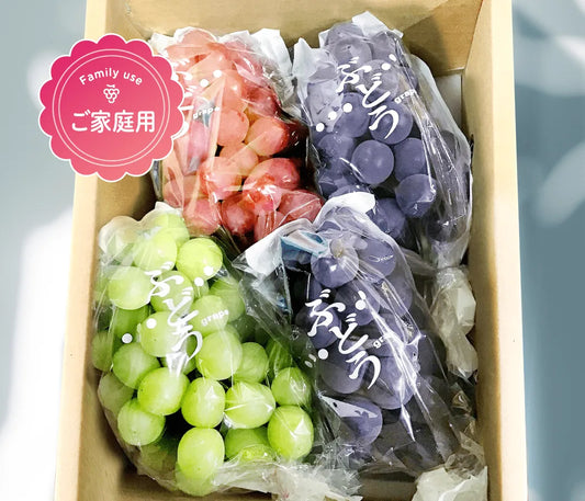 【ご家庭用】ぶどう3色詰め合わせ