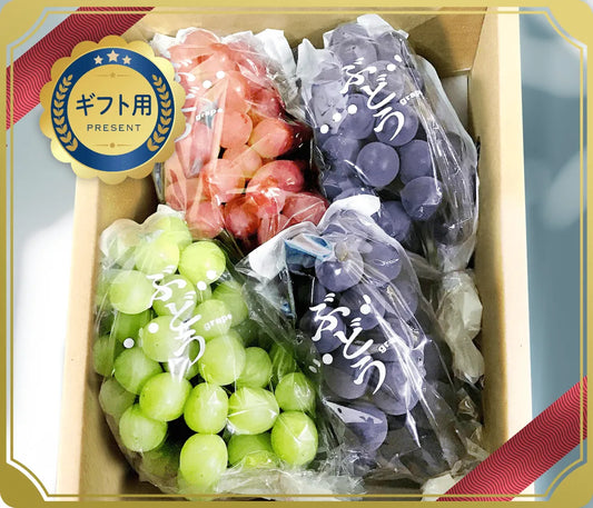 【ギフト用】ぶどう3色詰め合わせ